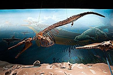 EA对开发《Apex英雄2》不感兴趣：二代没有一代火