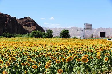 传闻：亚马逊可能在打造Steam的竞争对手