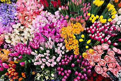 EA Sports为出现在《大学橄榄球26》中的球员提供1500美元的奖励